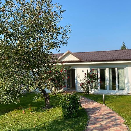 Pension Julia Banka Экстерьер фото